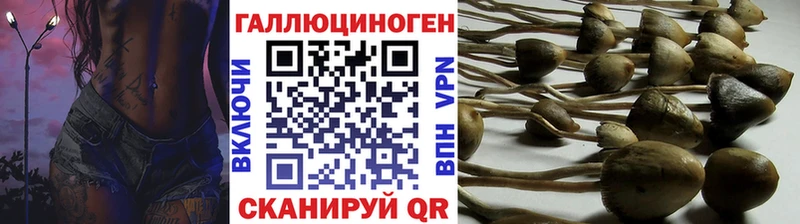Галлюциногенные грибы мицелий  Абдулино 